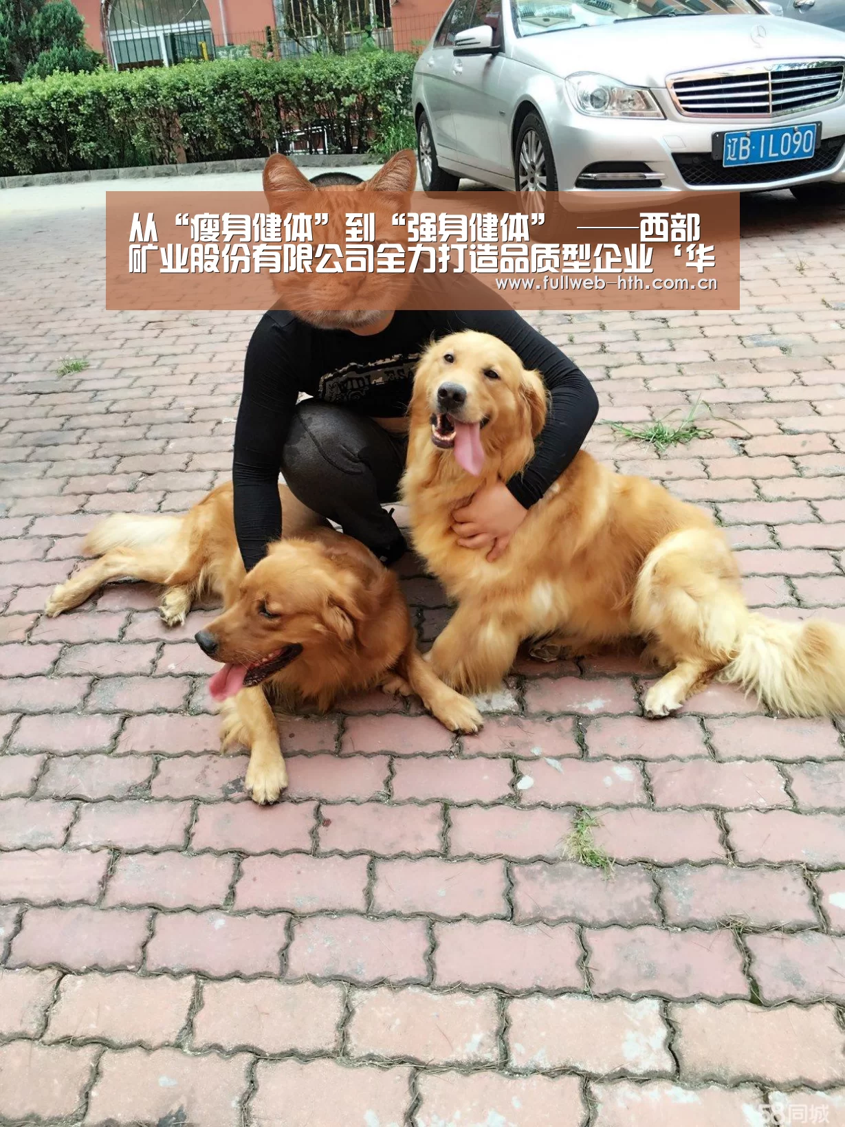 华体会体育app下载