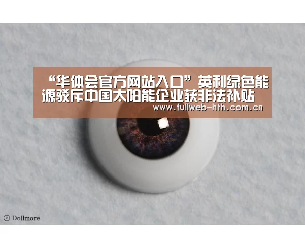 “华体会官方网站入口”英利绿色能源驳斥中国太阳能企业获非法补贴指控(图4) 华体会体育app下载
