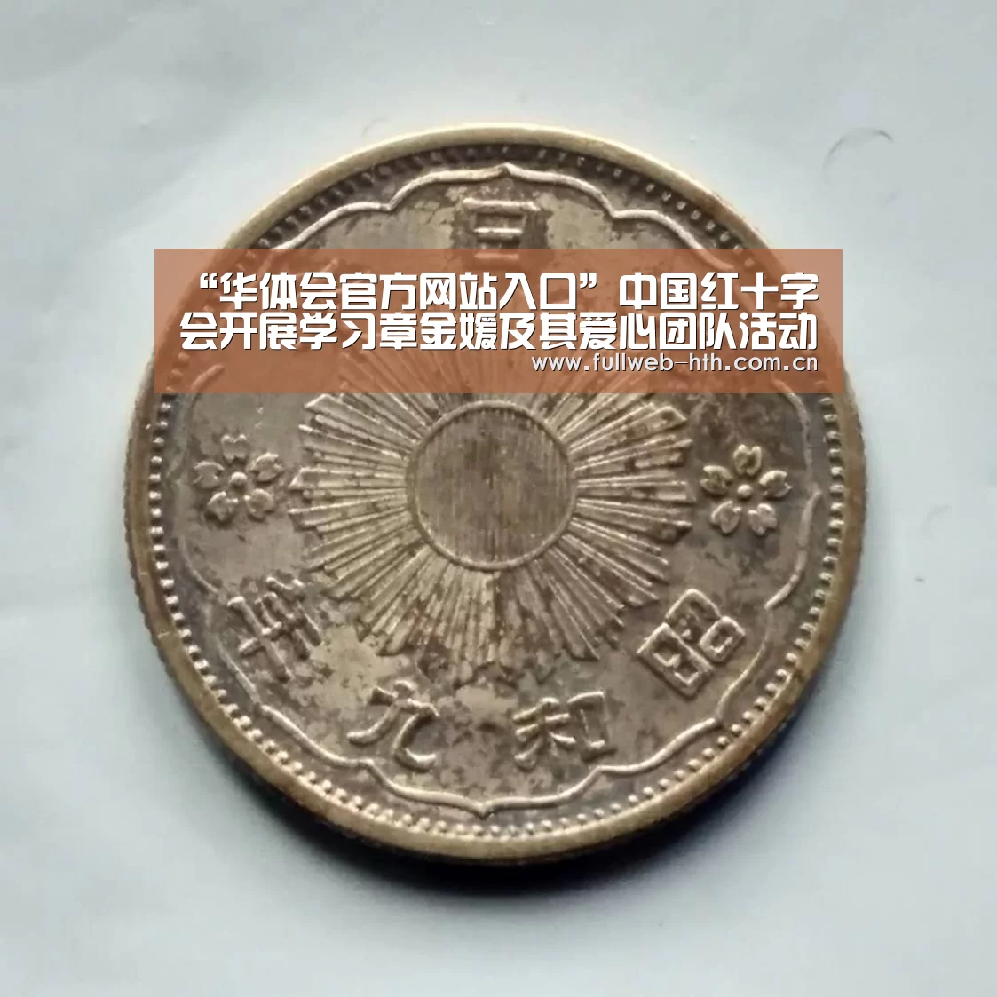 “华体会官方网站入口”中国红十字会开展学习章金媛及其爱心团队活动(图3) 华体会官网下载
