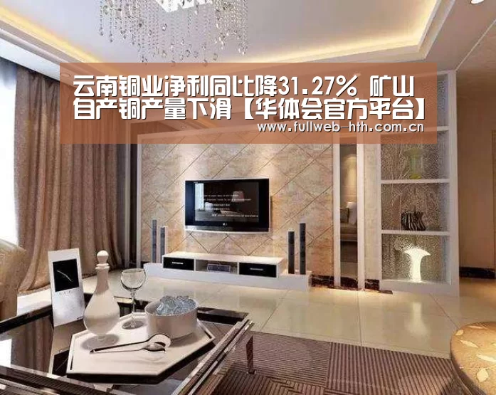 云南铜业净利同比降31.27% 矿山自产铜产量下滑【华体会官方平台】(图2) 华体会体育app下载